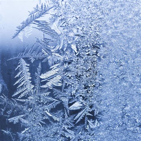 Icy Frost On Winter Morning Stock Photo Image Of Beauty Frozen 57844938