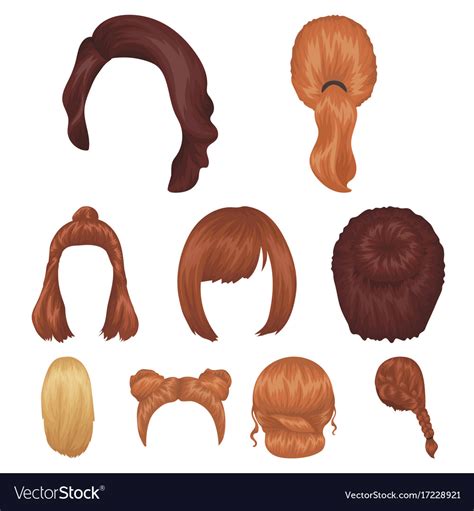 Quads Blond Braids And Other Types Of Hairstyles Vector Image