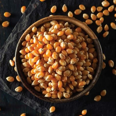 Popcorn Kernels 450 GM Pack of 4 – Buy Online 