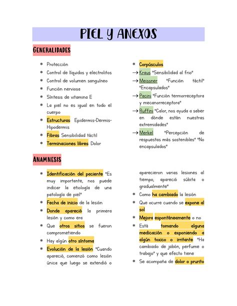 SOLUTION Piel Y Anexos Resumen Studypool