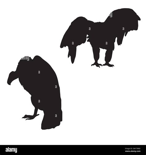 Vector Illustration Of Vulture Silhouette Stock Vector Image Art Alamy