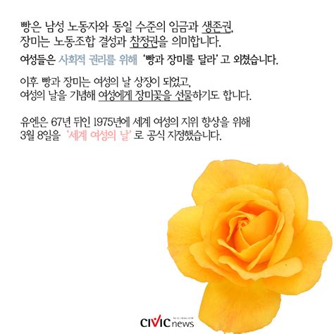 카드뉴스 3월 8일은 세계 여성의 날 여성들은 왜 빵과 장미를 원했을까 CIVICNEWS 시빅뉴스