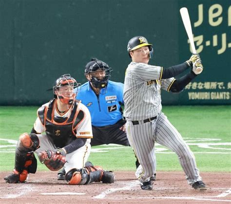 阪神2－0巨人 ビーズリー好投から完封リレー、大山決勝打 ニュースが好き2