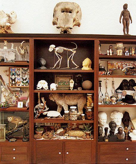 MARK DION CABINET OF CURIOSITIES FOR THE WEISMAN ART MUSEUM | Cabinet ...