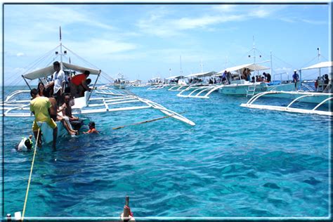 Nalusuan Island Marine Sanctuary Tour In Mactan Cebu