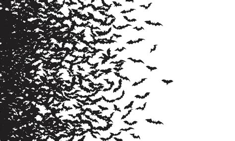 Premium Vector Black Silhouette Of Flying Bats Flock