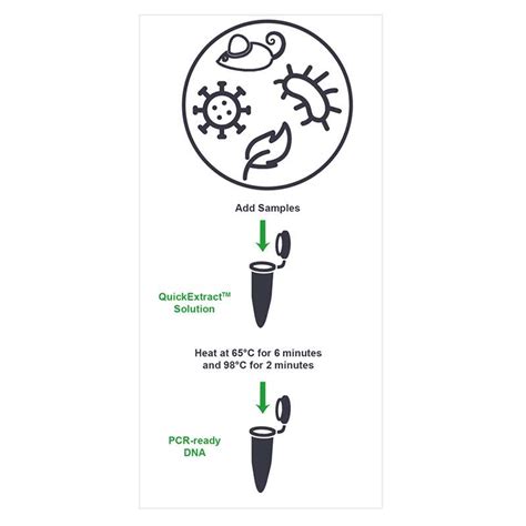 QuickExtract DNA Extraction Solution DNA RNA Aufreinigung