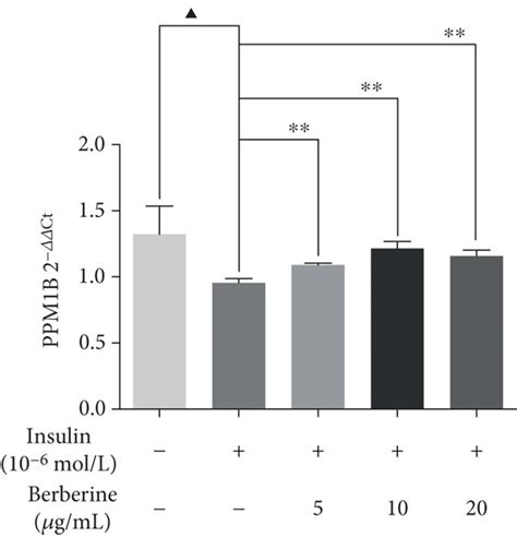 Effect Of BBR On The MRNA Expression Level Of Targets In The PPM1B