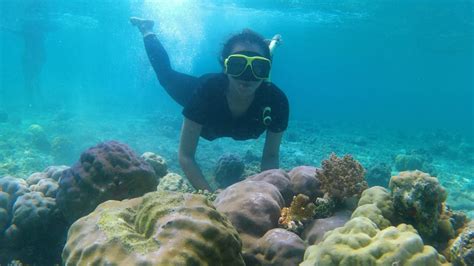 Foto Mengunjungi Pulau Tabuhan Menyelami Keindahan Bawah Laut Selat Bali