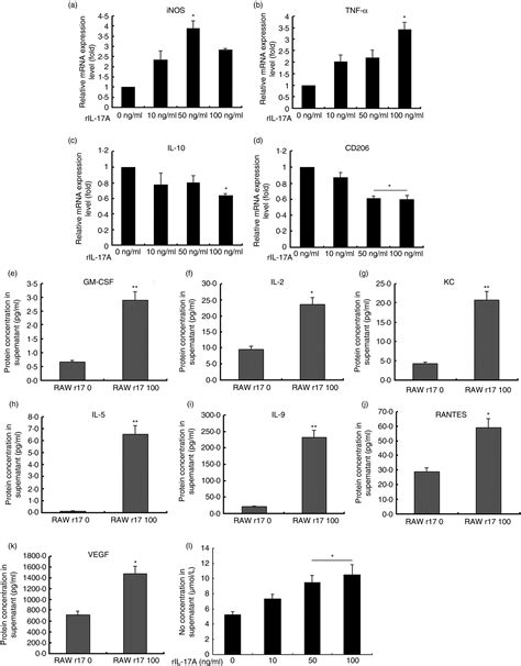 Interleukin‐17a Neutralization Alleviated Ocular Neovascularization By