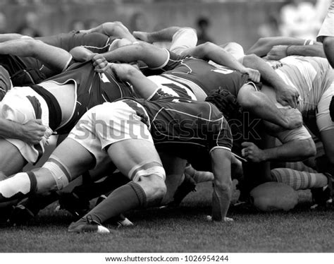 Melee During Rugby Match Stock Photo Edit Now 1026954244