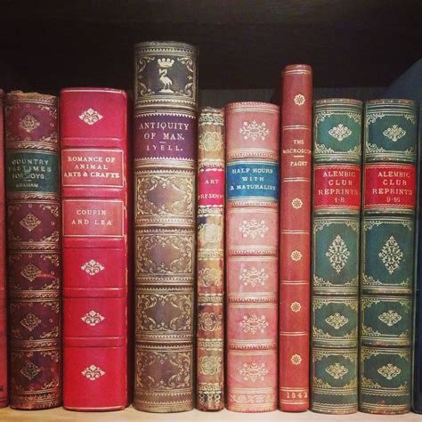 How to Start Collecting Rare Books - Alembic Rare Books