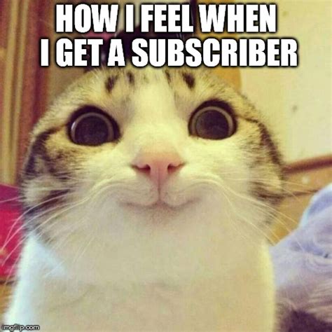 Smiling Cat Memes - Imgflip