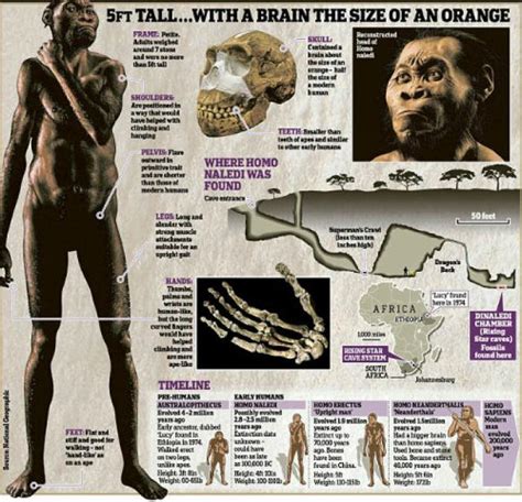 All Hail Homo Naledi The New Species Of Humanity Discovered In South