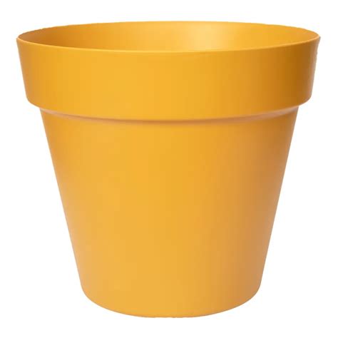 Paris Mustard Pot 20cm Cowell S Garden Centre Woolsington