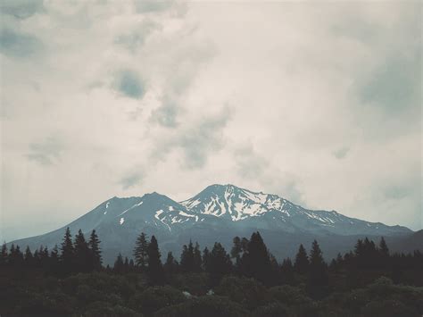 图片素材 景观 性质 森林 荒野 雪 云 天空 早上 爬坡道 山脉 高地 岭 阿尔卑斯山 高原 下降 地形