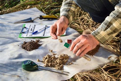 Closeup Agronomy Specialist Taking Soil Sample In Test Tube Outdoors