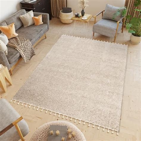 Tapiso Tapis Salon Poils Longs Boho Beige Franges Polypropyl Ne