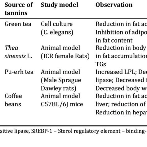 Representing The Antiobesity Effect Of Tannins Download Scientific