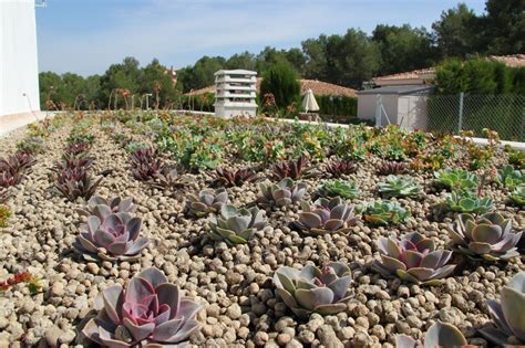 Green Roofs