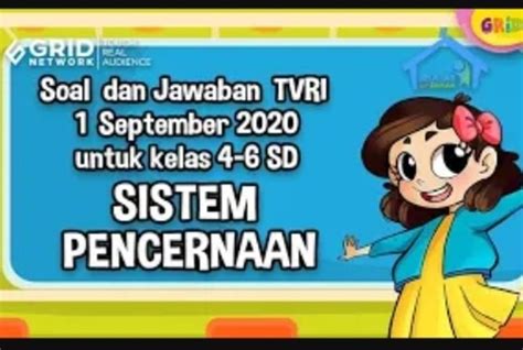 Soal Dan Jawaban Materi TVRI Tentang Sistem Pencernaan 1 September