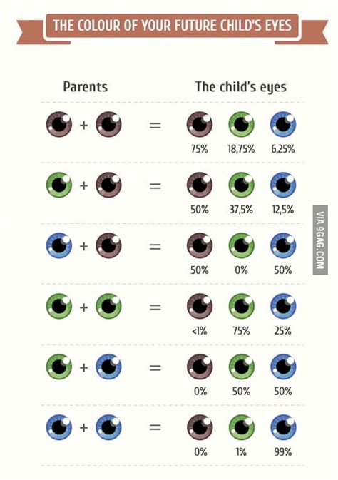 Percentage of what eye color your children will have - 9GAG