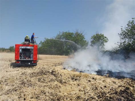 Incendiile De Vegetatie Produc Pagube Uriase Si In Moldova Zeci De