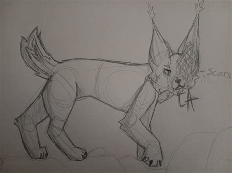 Big Cat Gay Furry Harmony Amino
