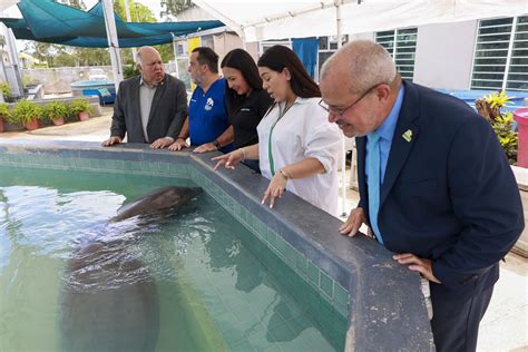 Sea Doo Y Centro De Conservación De Manatíes Del Caribe Crean Alianza