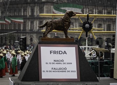 Homenajean A Frida La Perrita Durante Desfile De Aniversario De La