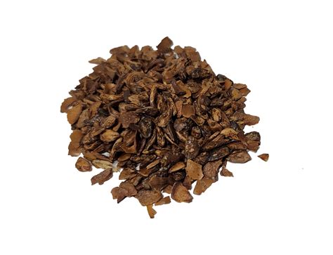 Tree seed - Korean fir – TreeSeeds.ca