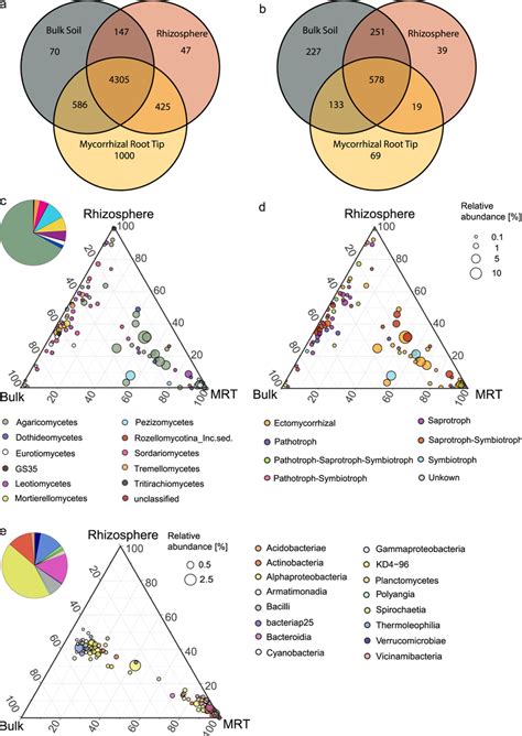 Distribution Of Most Abundant Fungal And Bacterial Archaeal Otus Among