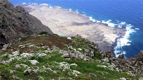 Unbekanntes El Hierro Ziege Vom Hirten Fisch Frisch Vom Kutter Der