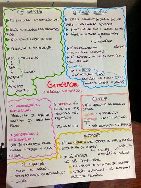 Mapa Mental Esquematizado Sobre GenÉtica Study Maps