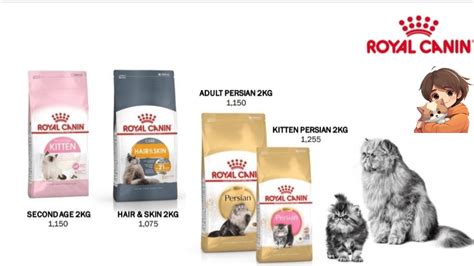 Unbiased Royal Canin Persian Cat Food Review 2024 White Persian Cat