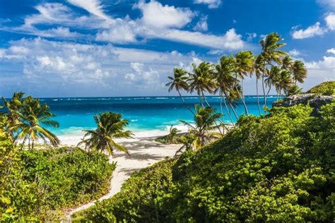 61 Fun Things To Do In Barbados Tourscanner