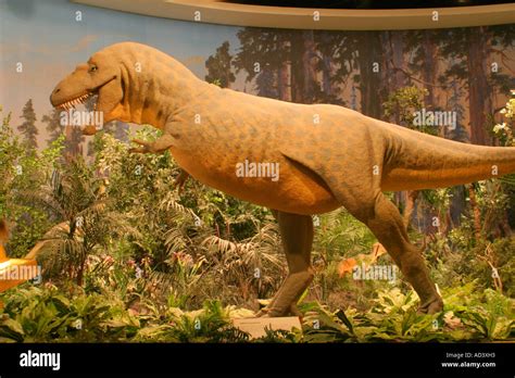 Réplica De Tamaño Completo De Albertosaurus Dinosaurio Del Período Cretácico Fotografía De Stock