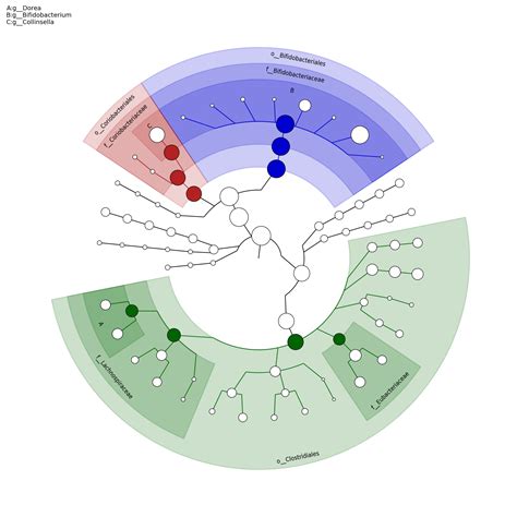 Whole Genome Shotgun Metagenomics Sequencing Data Analysis