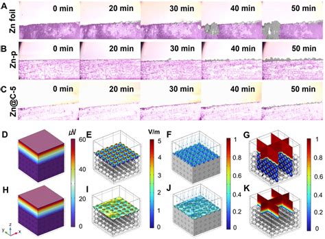 In Situ Optical Microscopic Observations And Finite Element