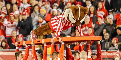 Wisconsin mascot tales: Life as Bucky Badger, from pushups to antics to ...