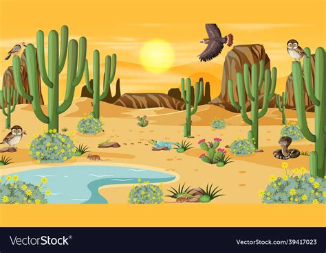 Desert forest landscape at daytime scene Vector Image