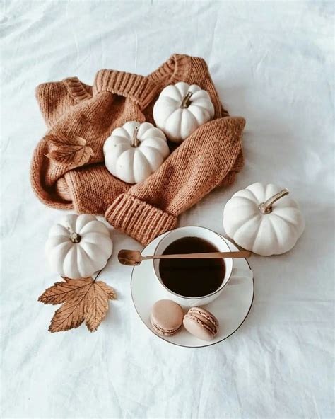 Autumn Vibes☕🍁🍂 Arreglos