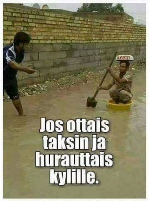 Pin by Tuula on Huumori | Humor, Funny, Can't stop laughing