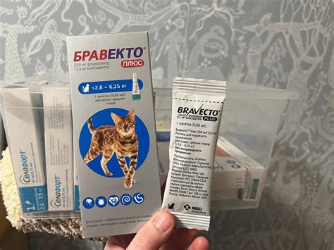 7 лучших средств от блох для кошек