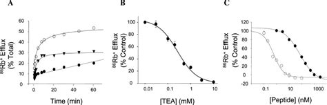 86 Rb Efflux From CHO K1 HKv3 2b Cells A Time Course Of 86 Rb Efflux