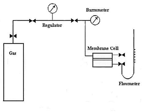 Schematic Design Of The Gas Permeation Apparatus Download Scientific