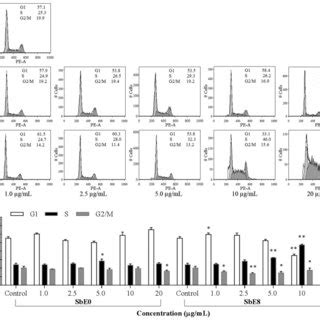 Cell Cycle Analysis Of Hct Cells Using Flow Cytometry After