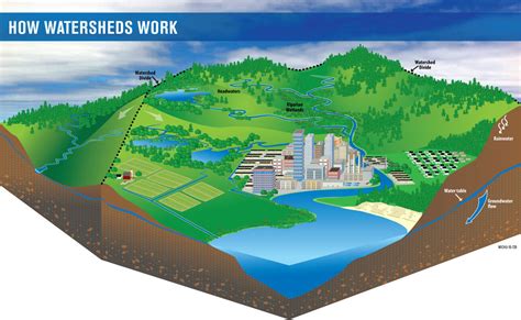 Project Wet Watershed Diagram Watershed Water Model Flow Inf