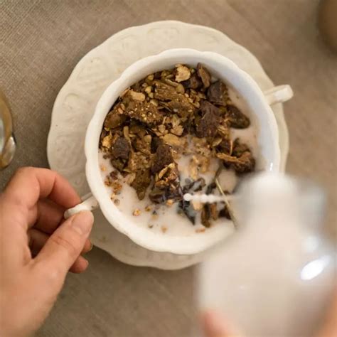 Muesli Cru Bio Cacao Riche En Fer