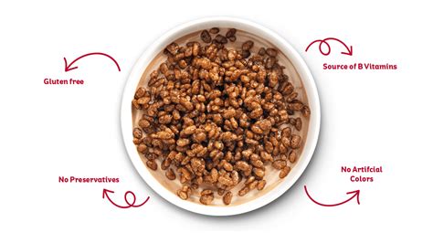 Kellogg S Coco Pops Gluten Free Kellogg S Sa